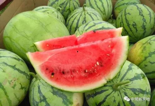 今日网红吃瓜猛料图片,揭秘娱乐圈最新秘闻